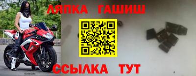 индика Обь