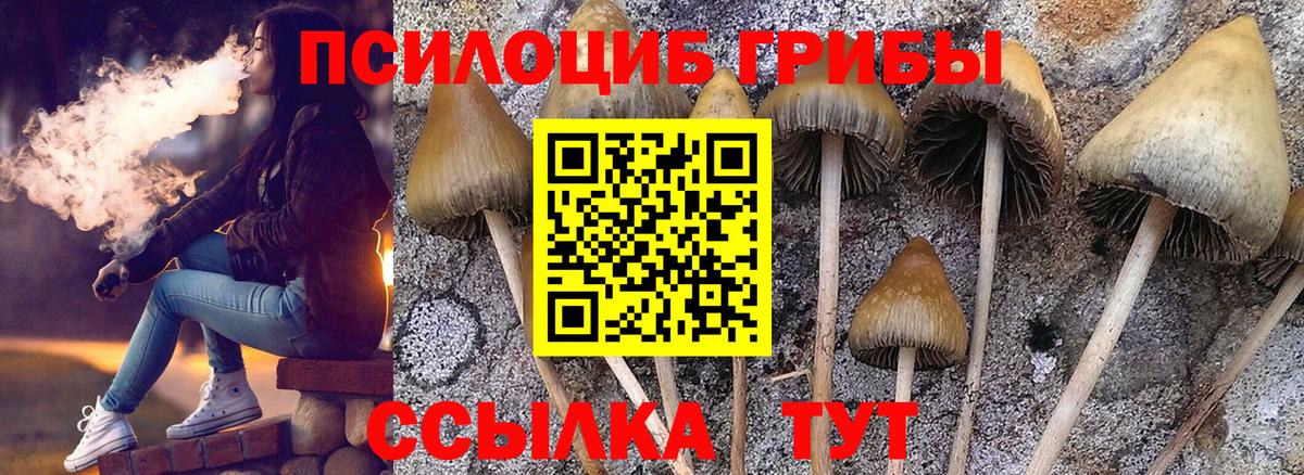 Галлюциногенные грибы Cubensis  дарнет шоп  Славгород  Галлюциногенные грибы MAGIC MUSHROOMS  Вход с VPN 