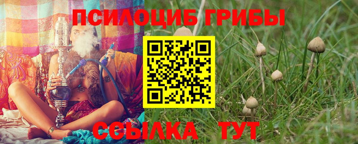 Псилоцибиновые грибы Magic Shrooms Славгород